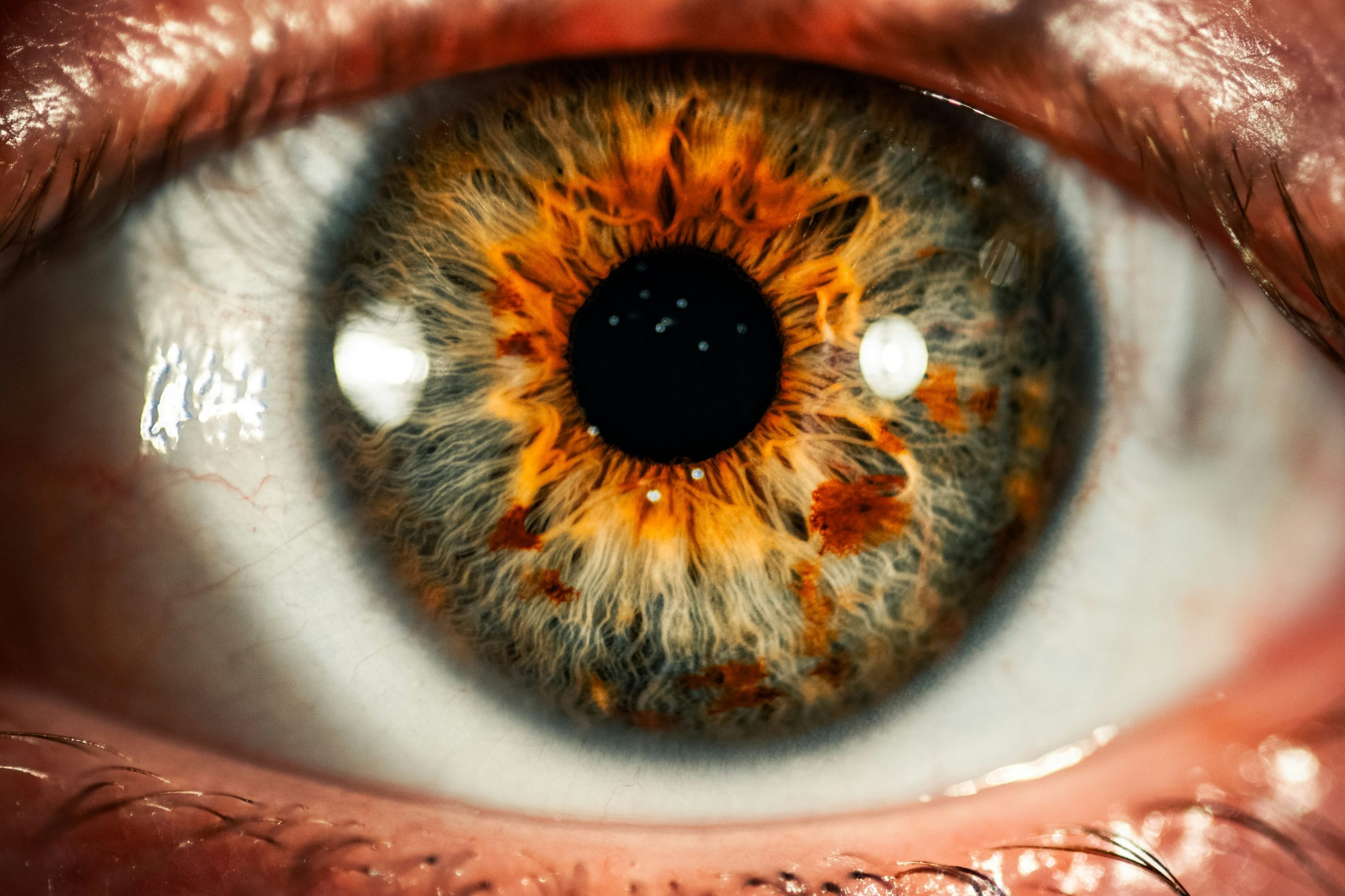 Colin lloyd suj3od1uMv8 unsplash